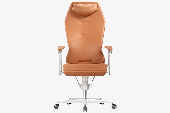 符合人体工程学设计的Nowy Styl办公椅